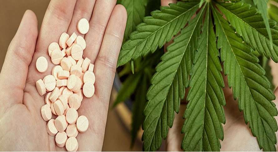Le CBD est-il compatible avec les pilules contraceptives ?