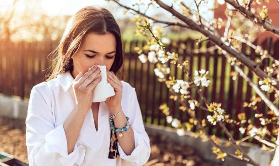 Quel est l&rsquo;effet du CBD sur les inflammations et allergies ?