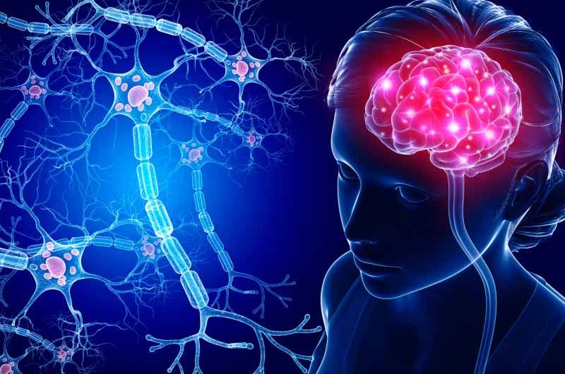 Quels sont les différents avantages neurologiques du CBD ?